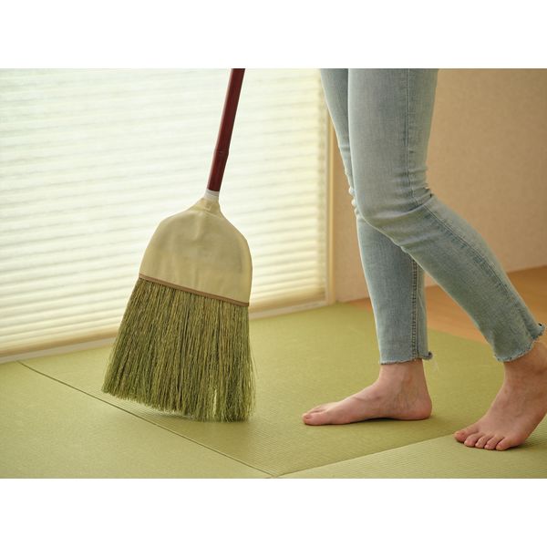 座敷羽帚 山崎産業 デイリークリーン 座敷箒 長柄 座敷ほうき 室内 屋内 1箱(2本