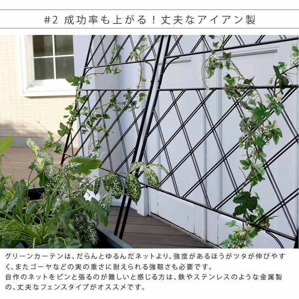 住まいスタイル アイアン製グリーンカーテン ”Argyle