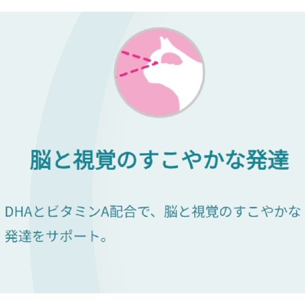 PURINA ONE 子ねこ用 チキン 2kg×5袋 1歳までの子ねこ用 / 妊娠・授乳期の母猫用 チキン｜ピュリナ