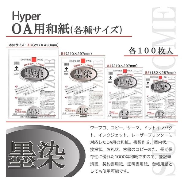 墨運堂 Hyper和紙 墨染 A4判 10冊セット 28910 1セット（直送品