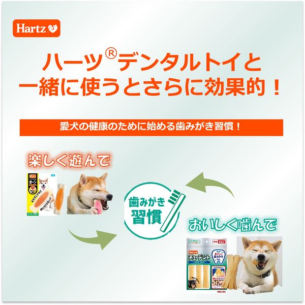 Hartz（ハーツ）チューデント スティックタイプ 国産 30g 3個 犬