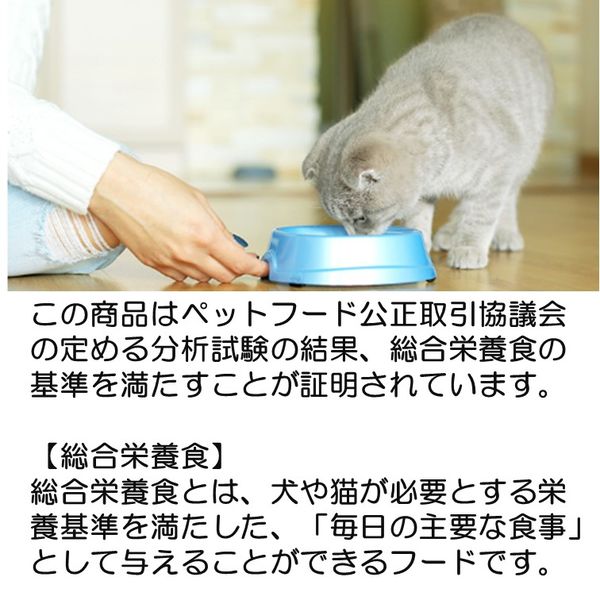 ドリーミーズ ミルク味 60g 10袋 マースジャパン キャットフード