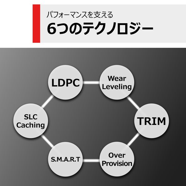 東芝エルティートレーディング 内蔵SSD 1TB TLD-M5A01T4ML 1台 - アスクル