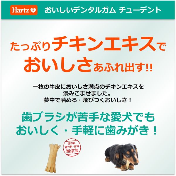 Hartz（ハーツ）チューデント S 国産 3本入 1個 犬 おやつ