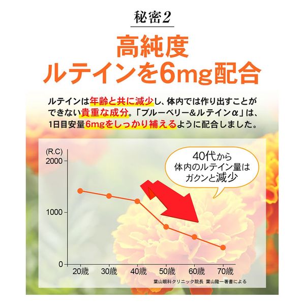 リフレ ブルーベリー＆ルテインα 31粒入 4560258561853 1袋(31粒入)×4