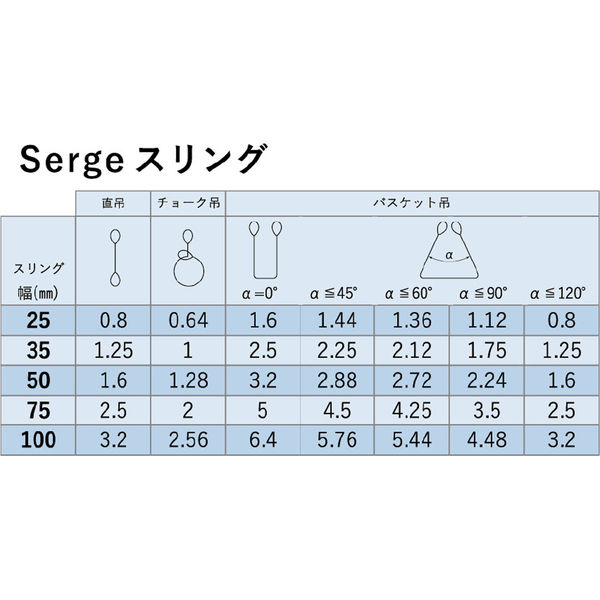 アイビッグ 2点吊スリングラッチフックセット1.7t未満 4等級 25巾x2M 70571 1式（直送品） - アスクル