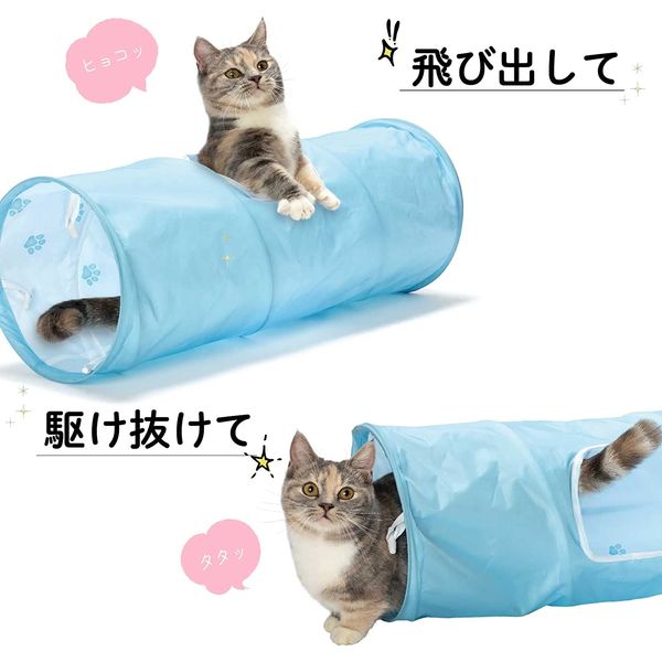 ファッションアイテム人気ランキング ワゴンセール】猫壱 キャットトンネル アスクル - 猫用 ブルー その他