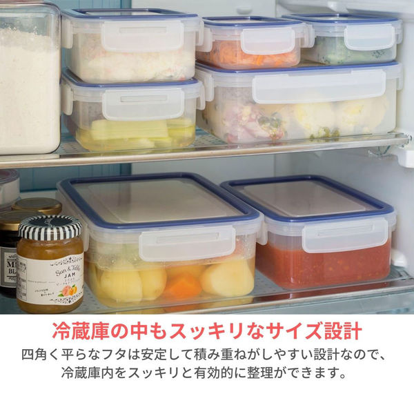 岩崎工業 3580300保存容器 イージーケア 850ml A-2173B A-2173B