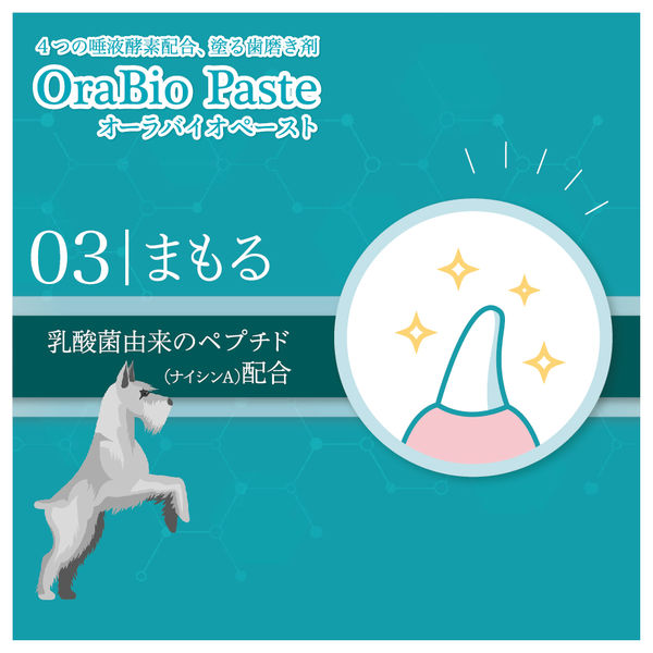 はみがき剤 犬猫用 オーラバイオペースト OraBio 50g 国産品 塗る歯磨剤 バイロン アスクル