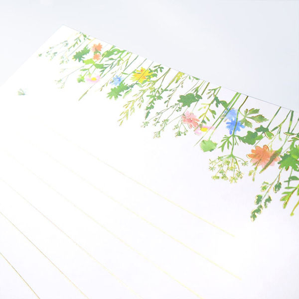 包む レターセット 箔押し 野の花 TL0B3 1セット(5セット)（直送