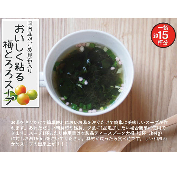 山根食品 おいしく粘る梅とろろスープ 60g×2個 4903119204399（直送品）