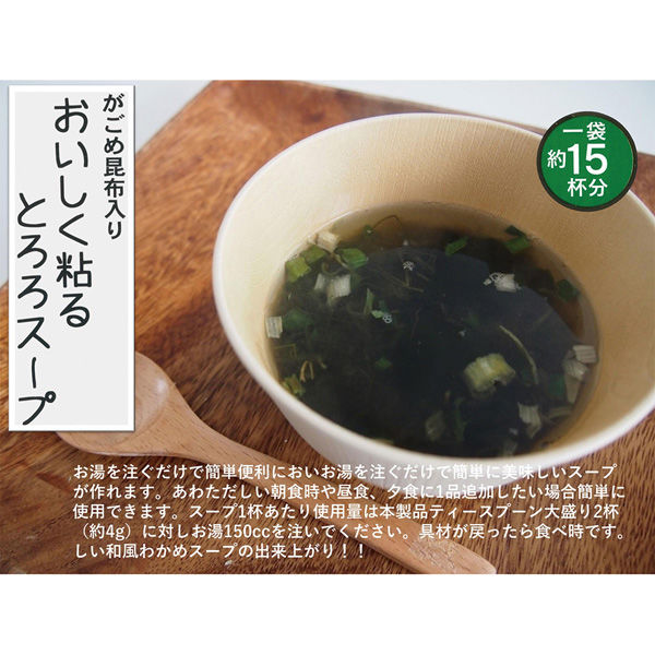 山根食品 おいしく粘るとろろスープ 60g×2個 4903119203965（直送品