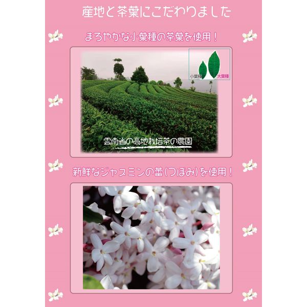 国太楼 お徳用ジャスミン茶 ティーバッグ 1セット（156バッグ