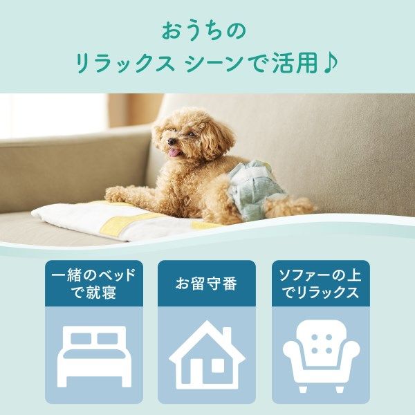 エリエールキミおもいアクティブウェアパンツタイプ(犬用オムツ) 人気