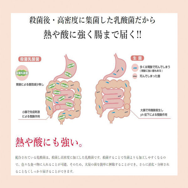 いなば食品（株） いなば食品 1兆個すごい乳酸菌ドリンク バラエティ