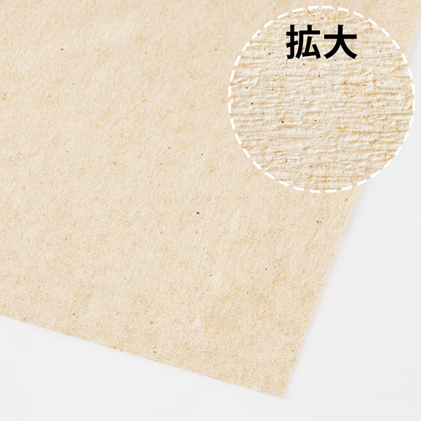 定率割引 往復 ペーパータオル アスクル オリジナルペーパータオル 中判 政治学