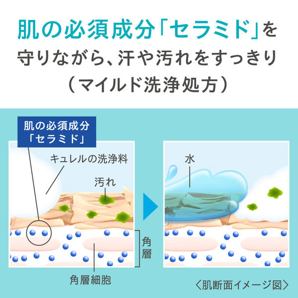 キュレル ボディソープ ストア 値段