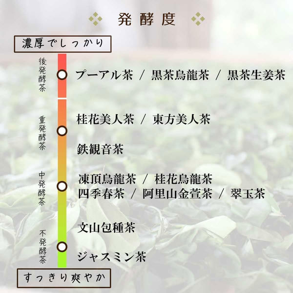 TTT Mug＆Pot 四季春茶 ティーバッグ 1セット（18バッグ：6