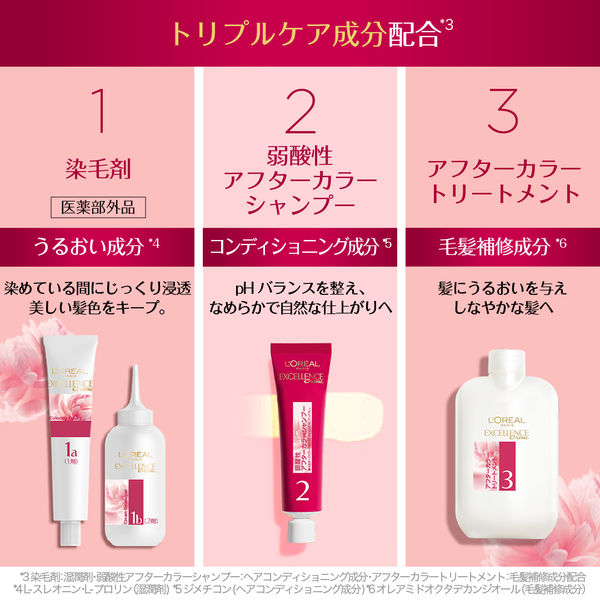 ロレアル パリ エクセランス R 液状タイプ 6WB ウォ―ム系のやや ロレアル パリ エクセランス R 液状タイプ 6WB ウォ―ム系のやや