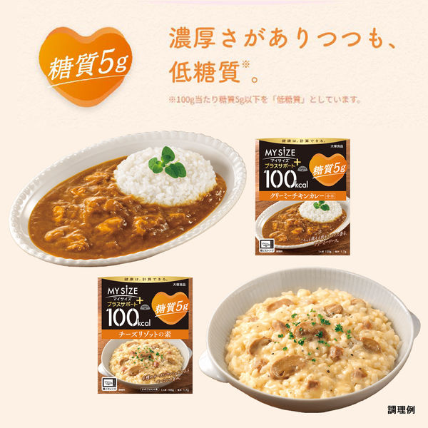 100kcal マイサイズ プラスサポート 塩分1g 親子丼 1人前 1