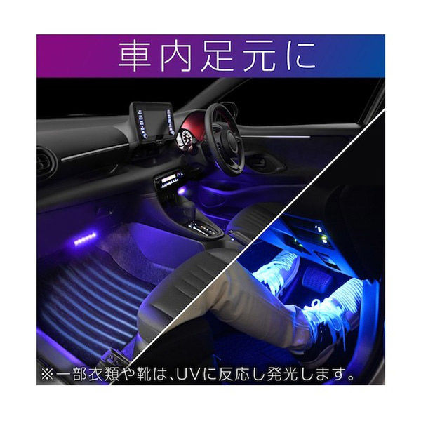 セイワ USBブラックライトLEDイルミ2 コード長：1m F342 1個（直送品 