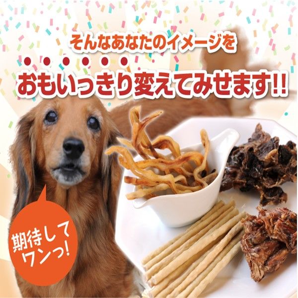 馬肉ビッツ 無添加 国産 45g 3袋 オーシーファーム ドッグフード