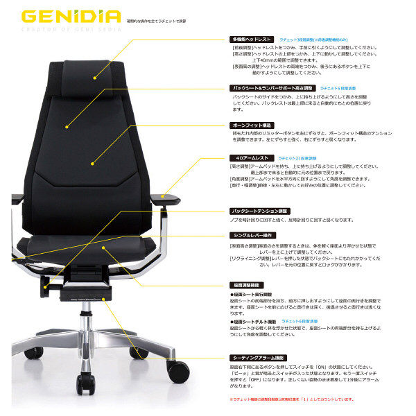 【車上渡し】 Ergohuman（エルゴヒューマン） ジェニディア 多機能オフィスチェア 肘付 本革（レザー） ブラック 1脚（直送品）