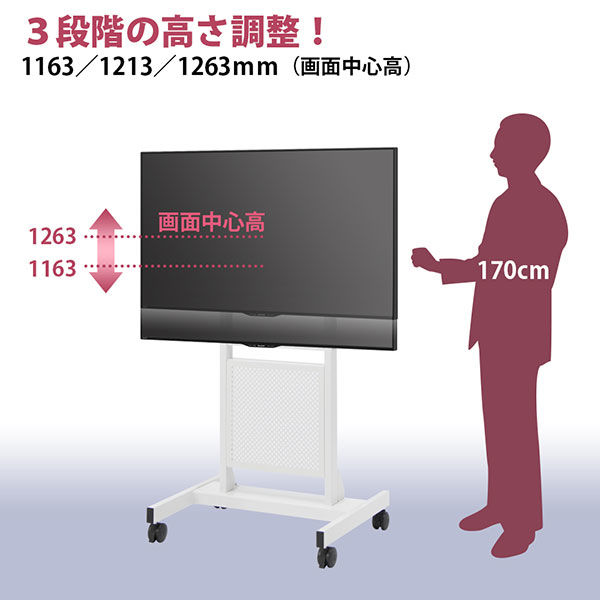 プラス 50型ミーティングディスプレイ+スリムスタンドセット MTGS-50-HAISOU-SET 1セット（直送品）