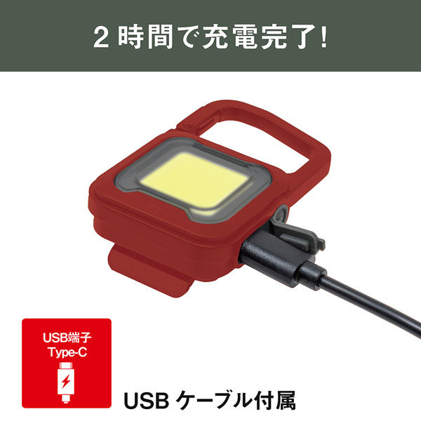 ポケットライト500mAh 投光器 LED USB充電式 小型ライト 2個 - ライト