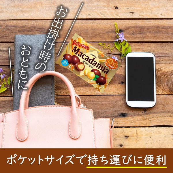 マカダミアチョコレートポップジョイ＜カラメリゼ＞ 1セット（1個×10） ロッテ チョコレート - アスクル