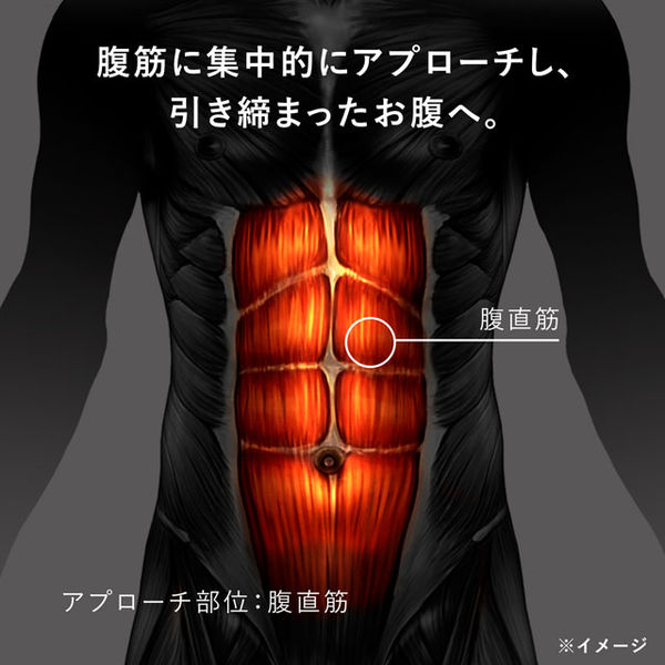本体別売】MTG Powersuit Controller for Core Belt SEーBE00A