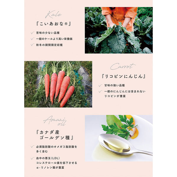WEB限定】ニップン ベジサポ たまねぎドレッシングアマニ油入り