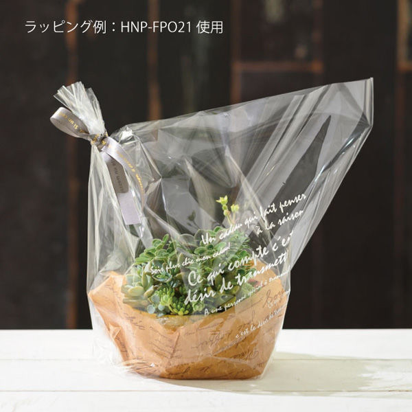 ＼半額SALE／ ヘッズ ハンドメイドプリントフラワーポット-21(1個) HNP-FPO21 靴