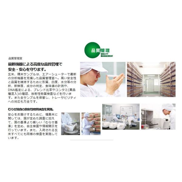 むらせ 宮城県産だて正夢 20kg 25514 4袋(5kgx4)（直送品