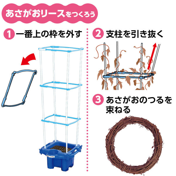 アーテック マルチラクラクあさがお虫めがね付Eセット 3573 1個