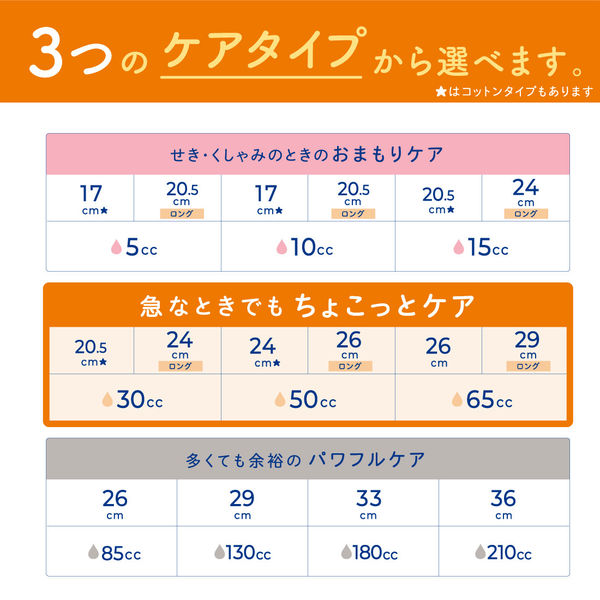 ナチュラ 吸水ケア さら肌さらり超吸収さらさら吸水パッド 65cc 29CM 