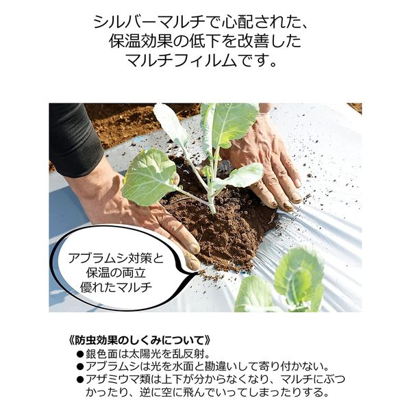 岩谷マテリアル 岩谷 菜園メタリック黒マルチ 0.02mm×950mm×50m
