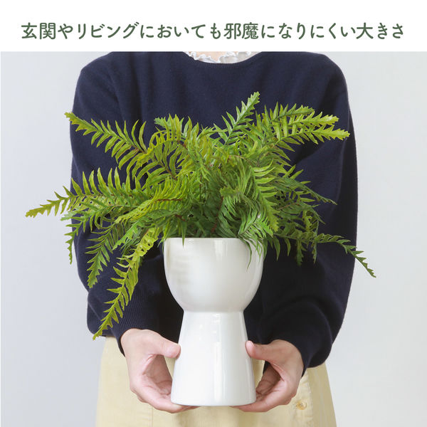 不二貿易 フェイクグリーン シダ セラミックポット 幅420×奥行