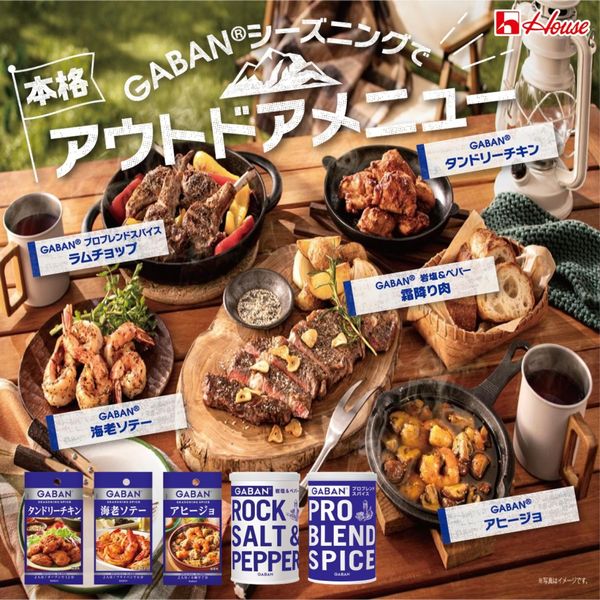 ９０ｇＧＡＢＡＮ 岩塩＆ペパー 2本 ハウス食品 - アスクル