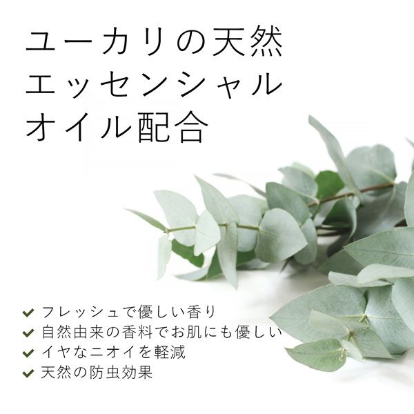 ecostore エコストア デリケート＆ウールウォッシュ ユーカリ 20L ecostore エコストア / デリケート＆ウールウォッシュ ユーカリ