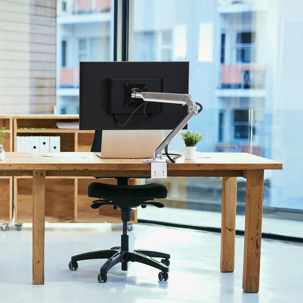 Amazon.com: Ergotron – MXV Dual Monitor Arm, VESA Desk Mount