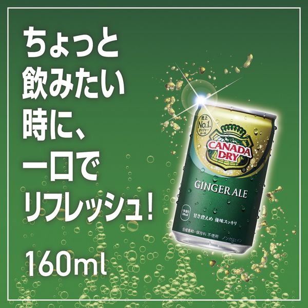 コカ・コーラ カナダドライ ジンジャーエール 160ml 1箱（30缶入） - アスクル
