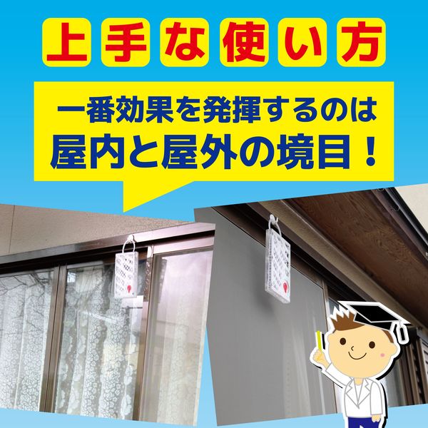 虫コナーズ 366日 ベランダ用 玄関用 ペアパック 虫よけ ネット 虫コナーズ 366日 ベランダ用 玄関用 ペアパック 虫よけ ネット