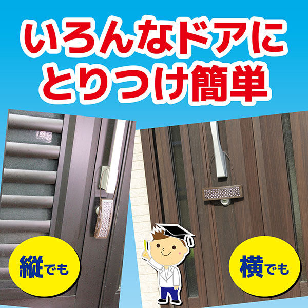 虫コナーズ 玄関用 吊るすタイプ 150日 屋外 窓 吊り下げ 虫よけ