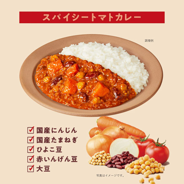 大塚食品 ボンカレーベジ スパイシートマトカレー 辛口 180g 1セット 