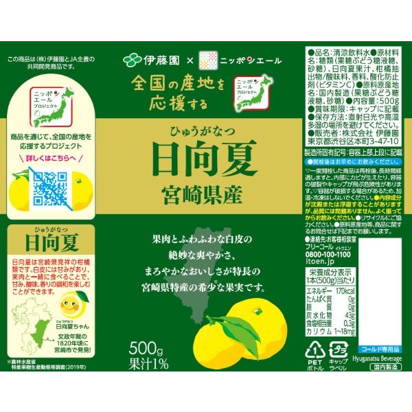 伊藤園 ニッポンエール 宮崎県産日向夏 500g 1セット（48本
