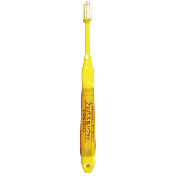 DENTALPRO（デンタルプロ） クレパス風ハブラシ ふつう 5本組 1