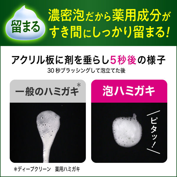 ディープクリーン 薬用 泡ハミガキ 190ml 2個 花王 歯槽膿漏 口臭予防