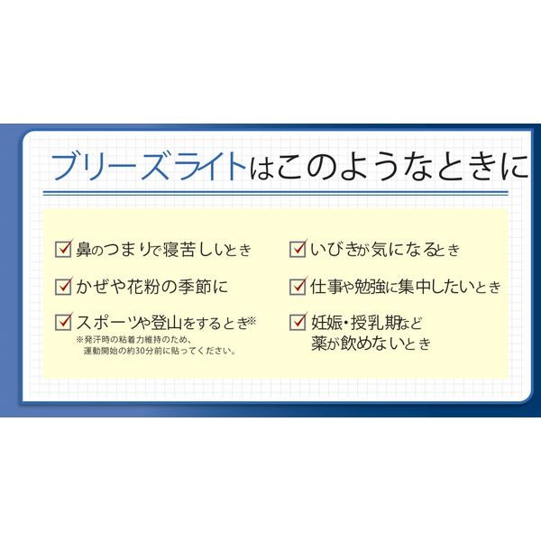 ブリーズライトスタンダード ラージ 1個（10枚入） 5個セット