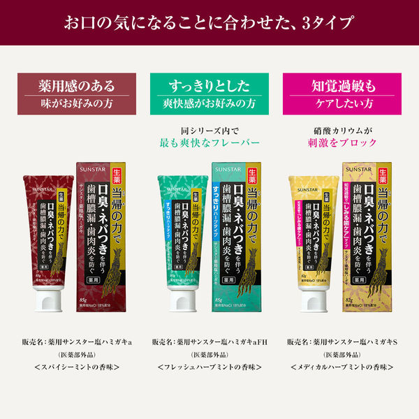 当帰の力 薬用 塩ハミガキ しみる歯ケア 82g 1セット（2本） サンスター 歯磨き粉 生薬 当帰 口臭 歯槽膿漏 歯肉炎 歯周病 知覚過敏